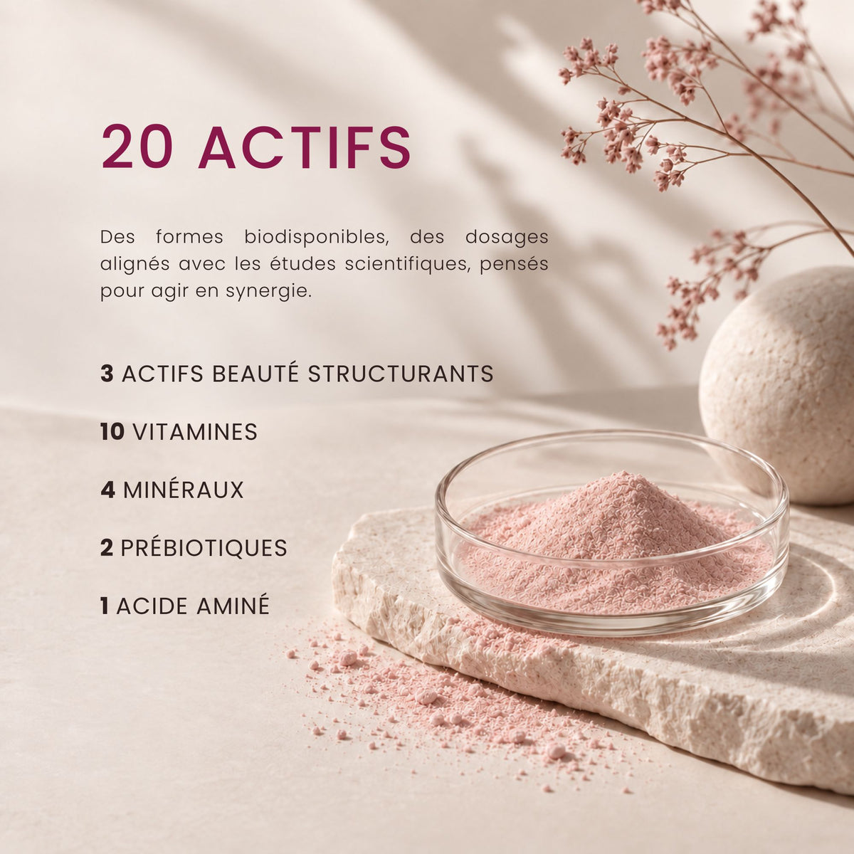 Fondation Nutritionnelle Quotidienne